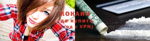гидра Белокуриха