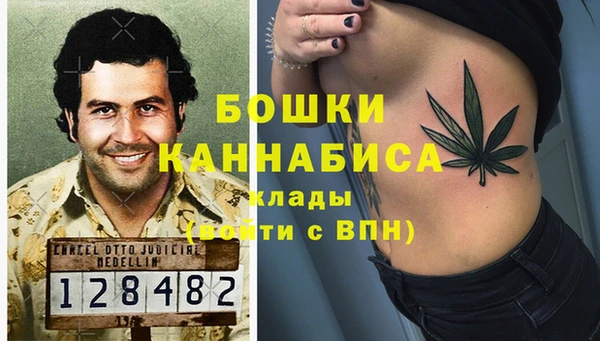 гидра Белокуриха