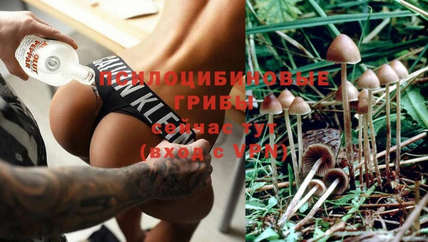 мяу мяу мука Белоозёрский